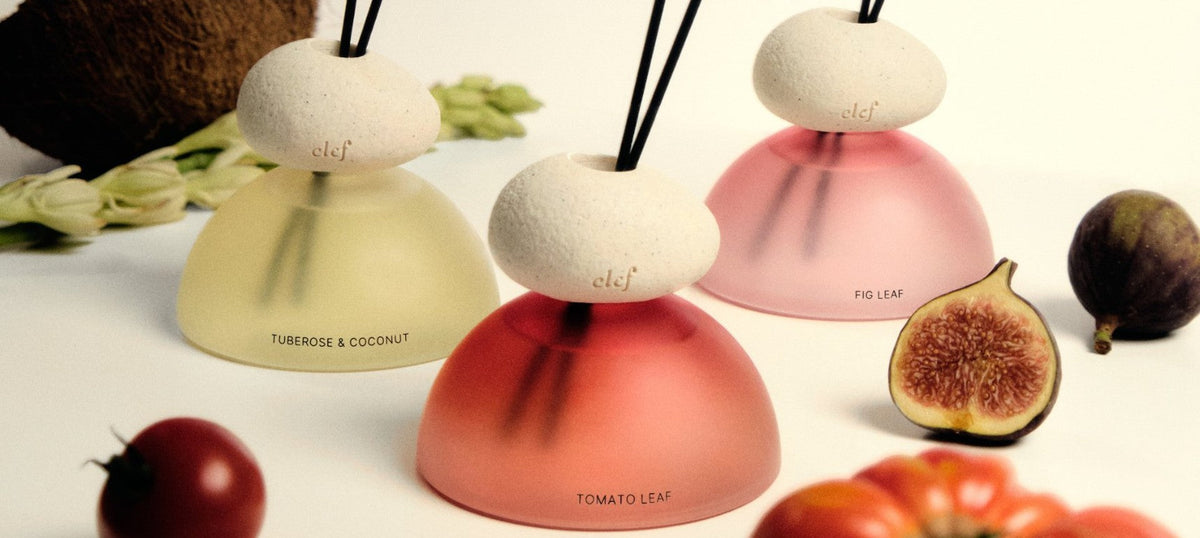 Reed Diffuser