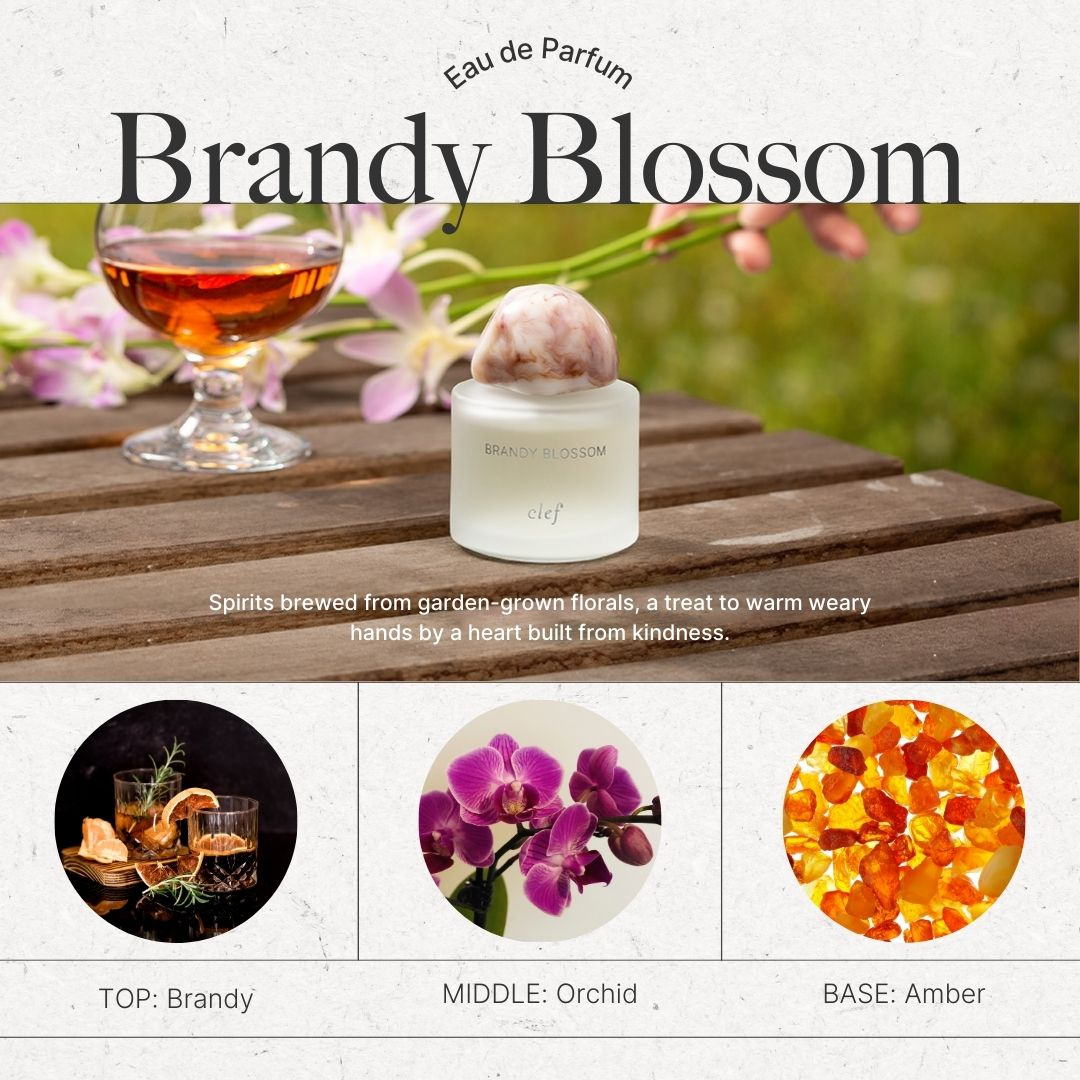 [QUENNIE] CLEF Brandy Blossom