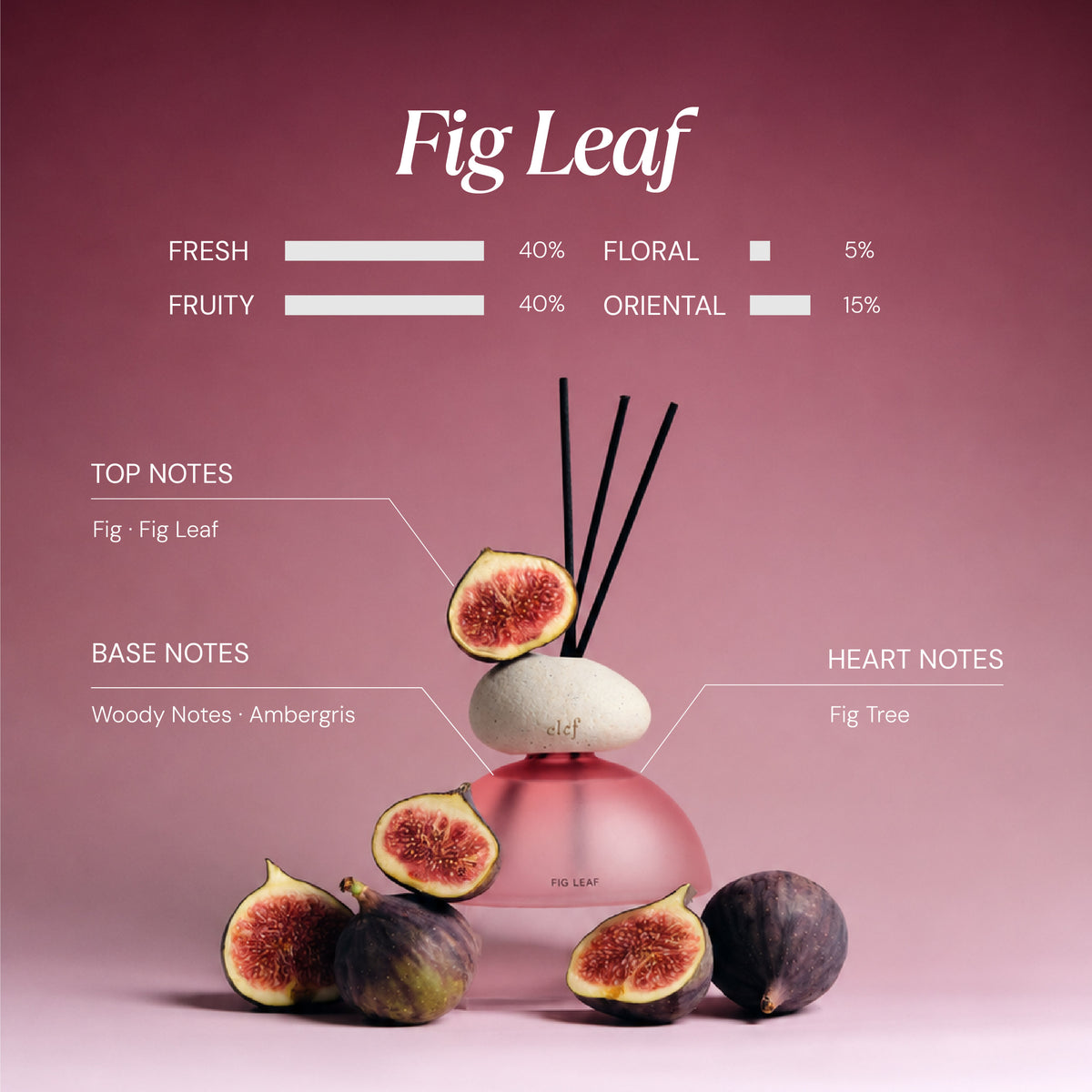 Rooted in Nature Fig Leaf Reed Diffuser 200ml