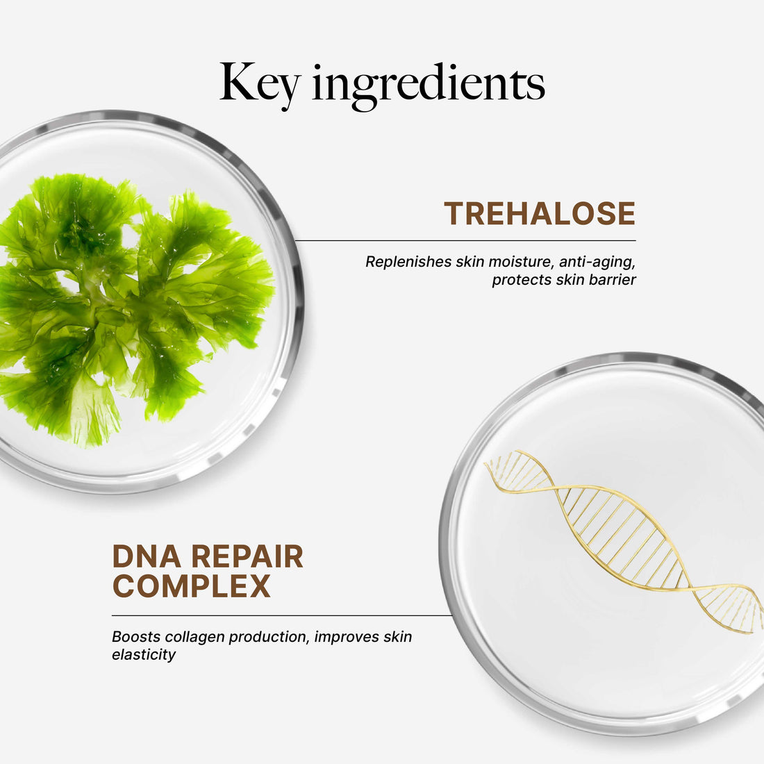 TWIN PACK PROMO - CLEF Anti-Aging Cleansing Gel