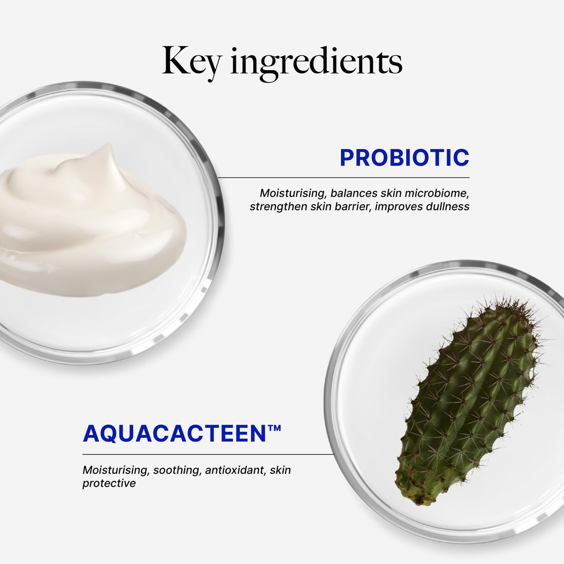 [M&M] CLEF Probiotic Nourishing Mask