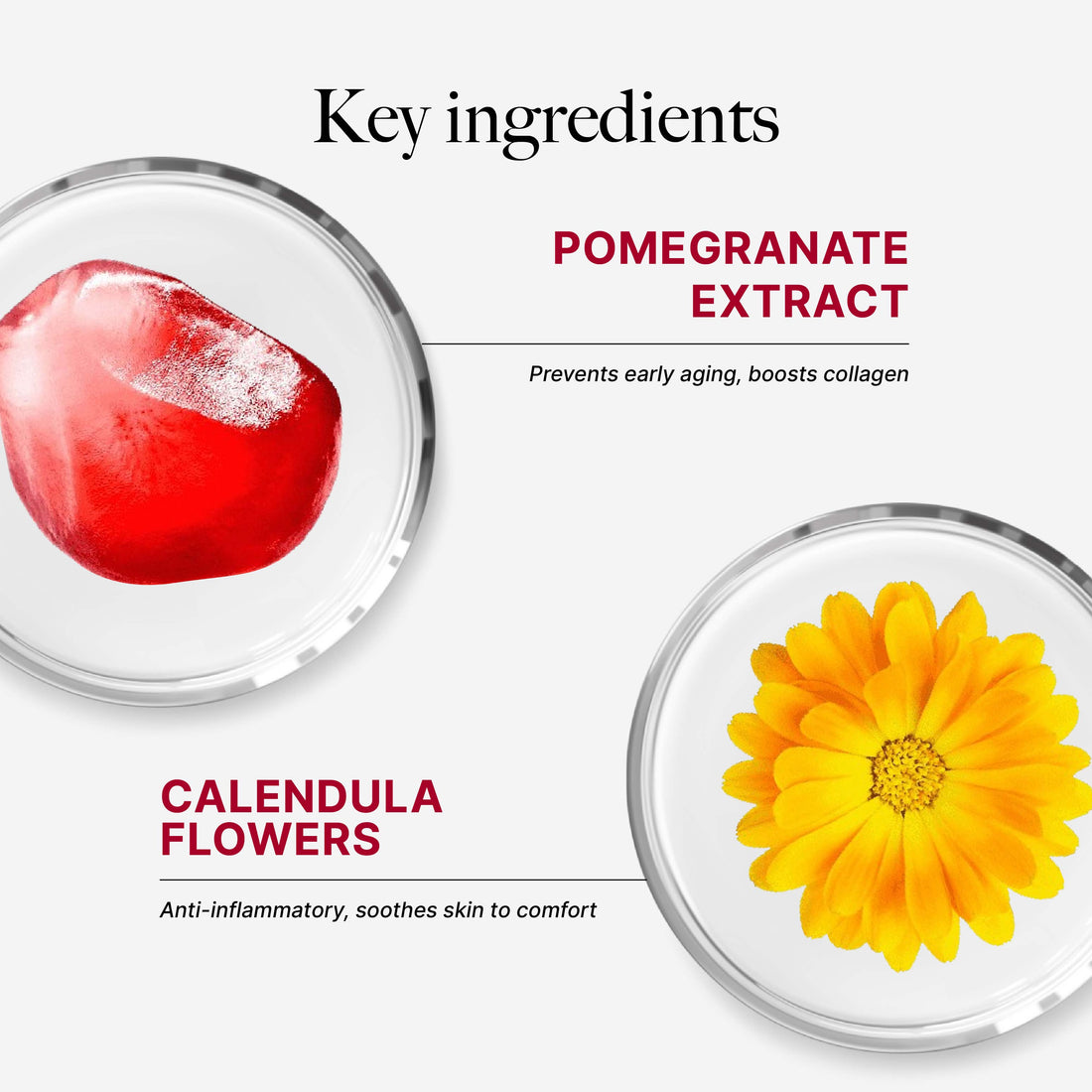 CLEF Pomegranate Instant Calming Mask