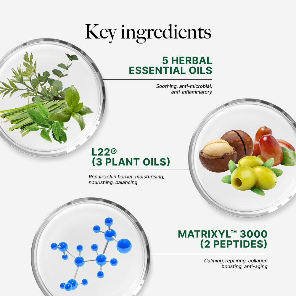 [M&M] CLEF Multi-Herbal Repairing Mask